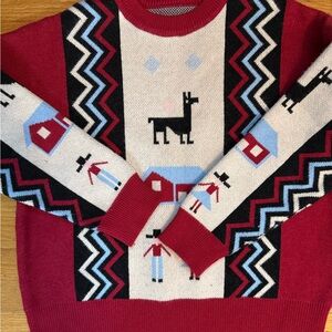Peruvian Red Patterned Sweater